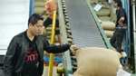 Xuất xứ CPTPP: Thoát bẫy gia công, nâng tầm chuỗi giá trị hàng Việt