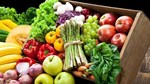 Xuất khẩu rau quả Việt Nam tăng trưởng mạnh tại các thị trường chủ lực