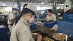 Từ Nghị quyết 10 đến yêu cầu kết nối hệ sinh thái công nghiệp