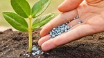 Cơ cấu thị trường xuất khẩu phân bón tiếp tục tập trung cao tại khu vực châu Á