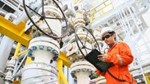 Sản lượng dầu Mỹ dự kiến sẽ giảm lần đầu tiên kể từ năm 2021 