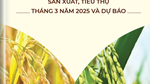 Thông tin mặt hàng gạo – Sản xuất, tiêu thụ tháng 03 năm 2025 và dự báo
