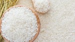 Thông tin mặt hàng gạo – Sản xuất, tiêu thụ tháng 03 năm 2025 và dự báo