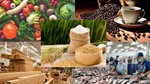 Xuất khẩu nông, lâm, thủy sản Việt Nam tăng 14,3% trong nửa đầu năm 2025