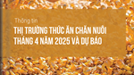 Thông tin thị trường thức ăn chăn nuôi tháng 4 năm 2025 và dự báo