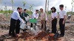 TP.HCM tổ chức trồng cây mừng sinh nhật Bác