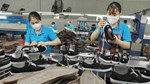 Việt Nam – Ấn Độ: Liên kết chuỗi giá trị trong hợp tác da giày