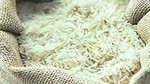 Philippines tạm dừng nhập khẩu gạo trong 60 ngày kể từ 1/9/2025