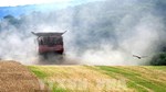 EU gia hạn thêm 1 năm miễn thuế nhập khẩu đối với nông sản Ukraine