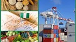 Nigeria thực hiện việc tạm thời giảm thuế nhập khẩu xuống mức thuế 0% với một số mặt hàng lương thực