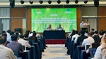 Bộ Công Thương tổ chức hội nghị về công tác điều hành xuất khẩu gạo năm 2025