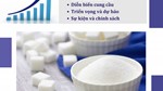 THỊ TRƯỜNG ĐƯỜNG THẾ GIỚI VÀ VIỆT NAM  5 THÁNG ĐẦU NĂM 2025: PHÂN TÍCH VÀ DỰ BÁO