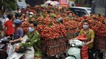Nhiều quốc gia tăng mua vải thiều Việt Nam