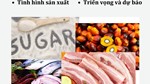 THỊ TRƯỜNG THỰC PHẨM THẾ GIỚI VÀ VIỆT NAM  THÁNG 8 NĂM 2025: PHÂN TÍCH VÀ DỰ BÁO
