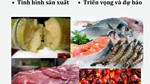 THỊ TRƯỜNG THỰC PHẨM THẾ GIỚI VÀ VIỆT NAM QUÝ III NĂM 2025: PHÂN TÍCH VÀ DỰ BÁO