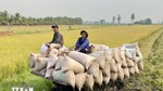 Xuất khẩu nông sản: Khẳng định thương hiệu, hướng đến những kỷ lục mới