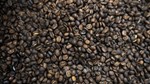 Thị trường nông sản: Lý do giá cà phê trên thế giới tăng vọt