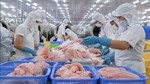 Xuất khẩu cá tra dự báo đạt gần 2,2 tỷ USD