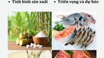 THỊ TRƯỜNG THỰC PHẨM THẾ GIỚI VÀ VIỆT NAM THÁNG 2 NĂM 2026: PHÂN TÍCH VÀ DỰ BÁO