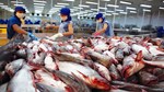 Hợp tác thủy sản Việt Nam - Ấn Độ được kỳ vọng sẽ bước sang giai đoạn phát triển mới