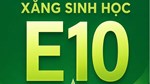 Cẩm nang sử dụng Xăng E10
