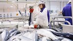 Hoàn tất đàm phán FTA Việt Nam - EFTA, hải sản Na Uy hưởng lợi từ ưu đãi thuế