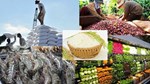 Vượt thách thức bằng tư duy kinh tế để đạt 100 tỷ USD xuất khẩu nông sản