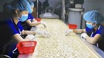 Hạt điều Việt và cuộc chuyển mình khỏi "lời nguyền gia công" - Kỳ 1: Thống lĩnh xuất khẩu, lép vế thương hiệu