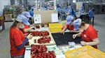 Hàng xuất khẩu đón thời cơ từ khu vực EFTA