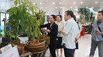 Lễ hội Sâm Ngọc Linh và Dược liệu 2026: Kết quả thương mại ấn tượng
