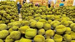 178 loại thực vật và sản phẩm thực vật Việt Nam được phép nhập khẩu vào Đài Loan