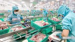 Xuất khẩu cá tra sang Anh tăng 23%, nhu cầu thực phẩm tiện lợi mở thêm dư địa