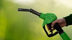 Indonesia chuẩn bị lộ trình B60 vào năm 2027, thúc đẩy tiêu thụ dầu cọ nội địa