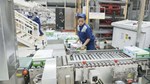 Nâng tầm thương hiệu, gia tăng giá trị Việt