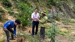 Chuyển đổi số giúp nâng giá trị nông sản và dược liệu ở miền núi Đà Nẵng