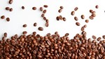 Thị trường cà phê hôm nay 29/9: Giá arabica chịu sức ép của lực bán khi đồng real suy yếu trở lại