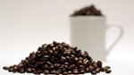 Thị trường cà phê hôm nay 25/11: Giá nội địa tăng nhưng dự báo xu hướng trong ngắn hạn vẫn giảm