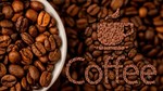 TT cà phê ngày 5/6: Giá thế giới tiếp tục suy yếu do triển vọng mùa vụ bội thu tại Brazil