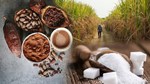 Diễn biến giá nông sản thế giới hôm nay 9/6/2026