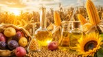 Diễn biến giá nông sản thế giới hôm nay 17/6/2026