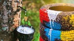 TT hàng hoá thế giới ngày 18/8: Giá đường và ca cao tăng mạnh, cao su chịu áp lực từ dữ liệu kinh tế Trung Quốc ảm đạm