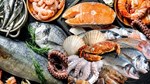 Thị trường nhập khẩu thủy sản của Việt Nam: Tín hiệu phục hồi mạnh mẽ từ cuối quý II/2026