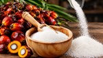 Diễn biến giá nông sản thế giới hôm nay 29/10/2026