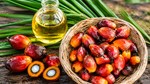 TT dầu thực vật thế giới ngày 29/10: Sức ép từ thị trường nông sản quốc tế và khoảng trống tin tức chính sách kìm hãm giá dầu cọ
