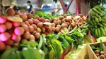 Ngành rau quả Việt Nam cần nâng cao khả năng thích ứng dài hạn để giữ nhịp tăng trưởng xuất khẩu