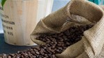 TT cà phê ngày 11/7: Giao dịch tại thị trường nội địa thưa thớt khi mùa vụ kết thúc
