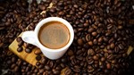 TT cà phê ngày 16/5: Giá robusta giảm xuống mức thấp nhất một tháng khi tồn kho tăng