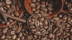 CEO Illycaffè SpA: Giá cà phê sẽ tiếp tục giảm do nguồn cung dồi dào