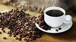 TT cà phê ngày 23/5: Brazil đang hướng đến vụ thu hoạch robusta lớn nhất lịch sử