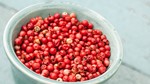 TT hạt tiêu ngày 20/5: Sức mua yếu khiến giá tiêu chưa bứt phá như kỳ vọng